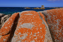 Landscape Tasmania